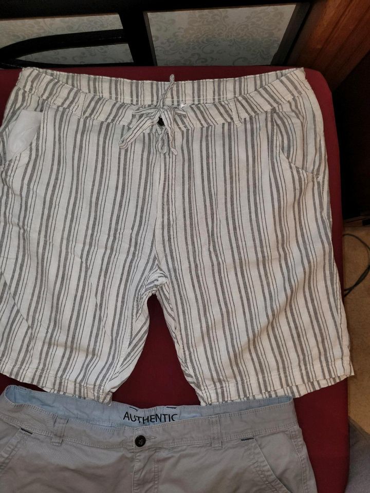 13 kurze Hosen Shorts XL/XXL 34 36 Hollister Jack Jones Scotch in Rengsdorf