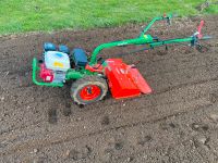 Gartenfräse zu vermieten Schleswig-Holstein - Ahlefeld-Bistensee Vorschau