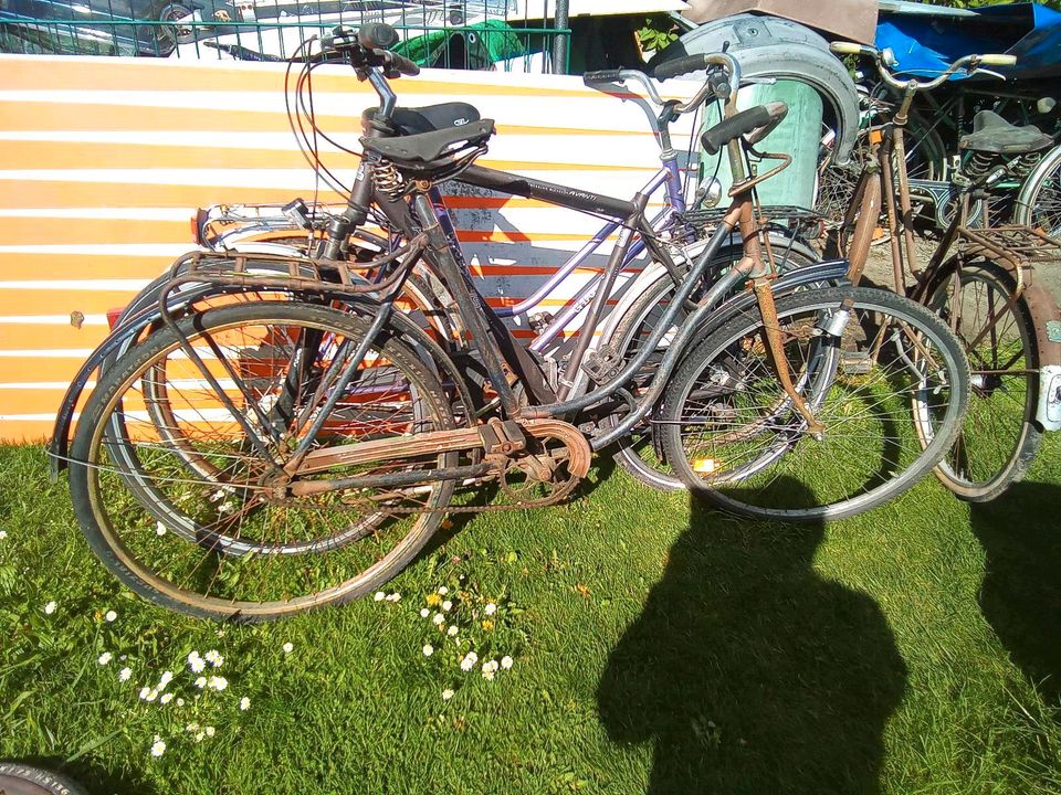 Oldtimer Fahrrad, Rabeneik, Wanderer, Pegasus in Fürstenfeldbruck