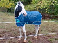 Neuwertige Regendecke "Horsewear Ireland", 125 Bayern - Laufach Vorschau