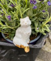 Italienische Porzellan Katze Sammelfigur Herzogtum Lauenburg - Geesthacht Vorschau