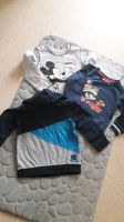 3x Jungen Pullover Sweatshirt Gr. 98 104 Sachsen - Olbernhau Vorschau