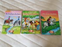 Leselöwen 3 schöne Pferdebücher Vorlesen und Leseanfänger Schleswig-Holstein - Wrist Vorschau