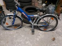 Kinderfahrrad Pegasus 24 Zoll Nordrhein-Westfalen - Bad Lippspringe Vorschau