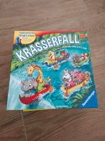 Krasserfall von Ravensburger Niedersachsen - Horneburg Vorschau