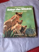 RARITÄT HEINZ SIELMANN BABYS DER WILNIS VON ESSO Kreis Pinneberg - Halstenbek Vorschau