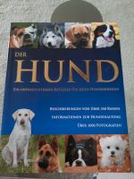 Der Hund Ratgeber für jeden Hundefreund Baden-Württemberg - Kohlberg Vorschau