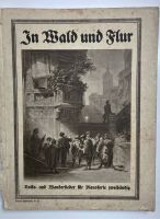 In Wald und Flur Volkslieder Wanderlieder Olympia Sammlung 1920er Baden-Württemberg - Remseck am Neckar Vorschau