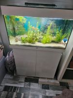 Aquarium mit Unterschrank Rheinland-Pfalz - Ludwigshafen Vorschau