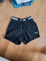 Puma Sporthose / Stoffhose / Shorts schwarz Nordrhein-Westfalen - Steinfurt Vorschau