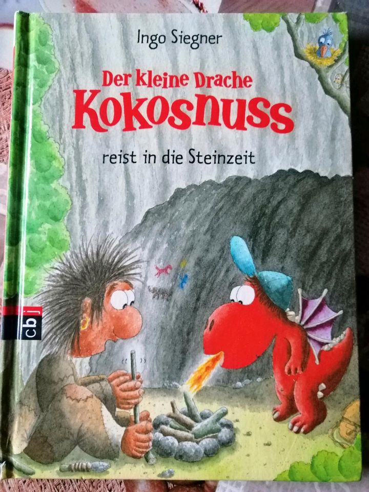 Der kleine Drache Kokosnuss 15 Bücher je 3€ in Salzkotten