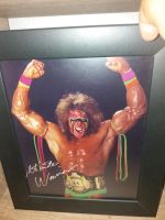 WWF Ultimate Warrior Bild Müritz - Landkreis - Waren (Müritz) Vorschau