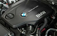 BMW Walnut Blasting Reinigung Einlassventile N57, M57; N47 Baden-Württemberg - Iffezheim Vorschau