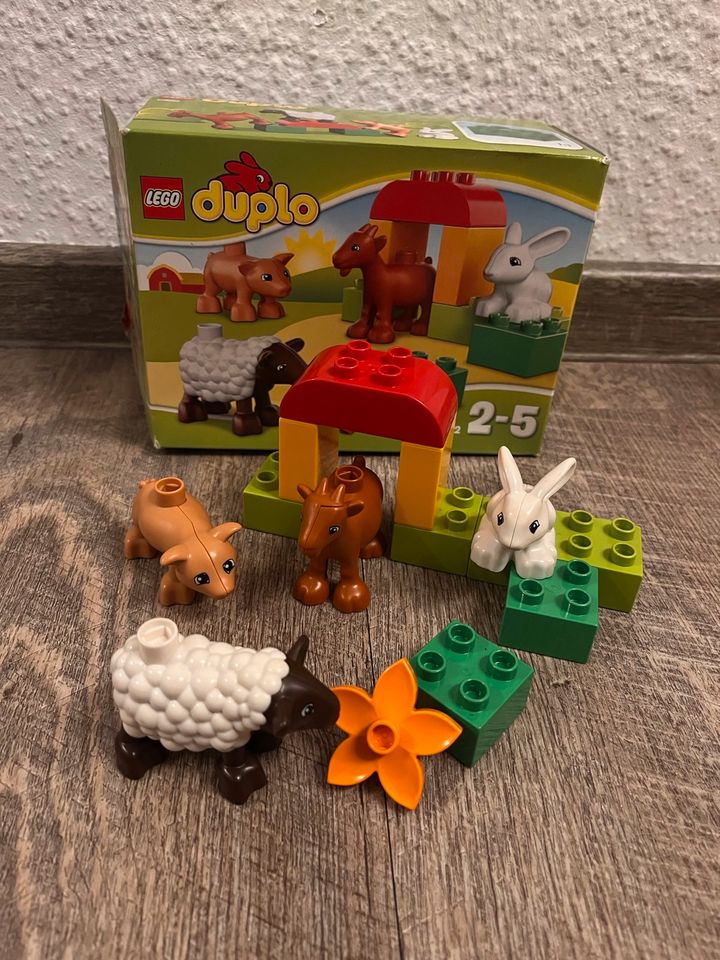 Lego Duplo 10522 Bauernhof-Tiere in Dresden