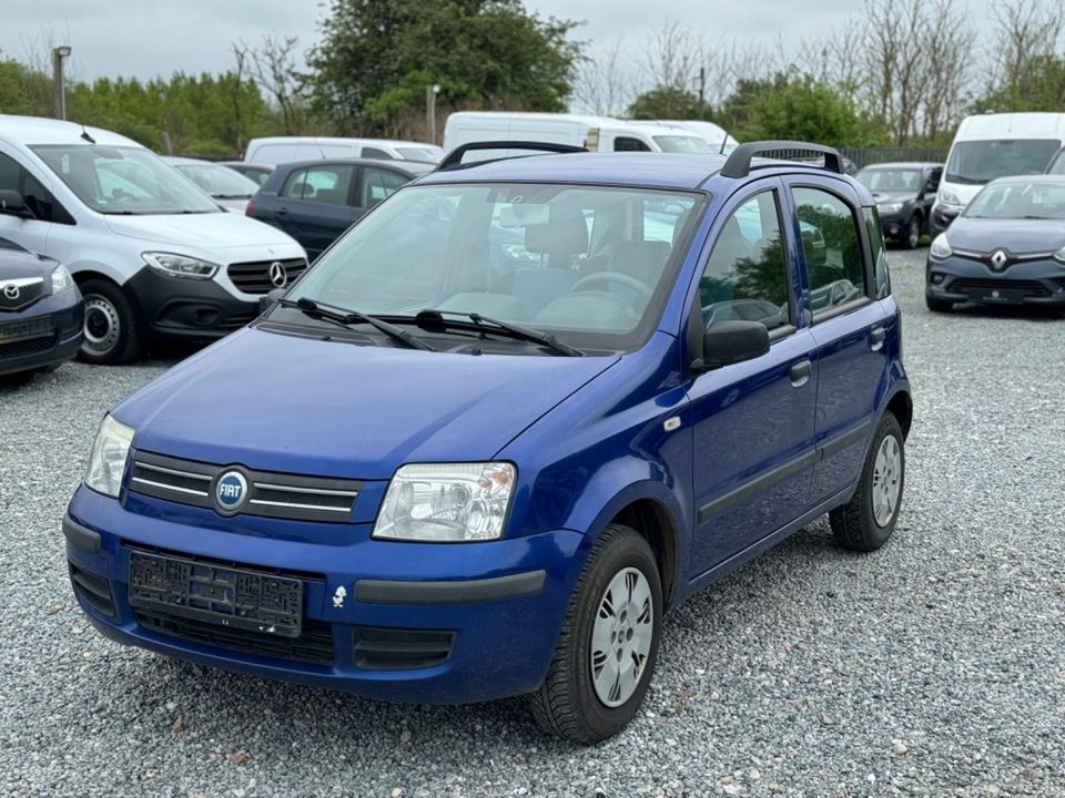 Fiat Panda 1.2 8V Dynamic Klima in Flensburg