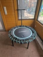 Hudora Sport Trampolin Bayern - Sulzbach a. Main Vorschau