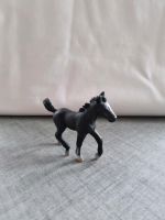 Lipizzaner Fohlen 13738 v. Schleich Nordrhein-Westfalen - Neuenkirchen Vorschau