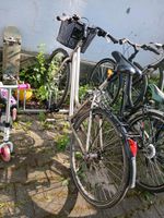 Fahrrad damen silber mit korb Dortmund - Sölde Vorschau