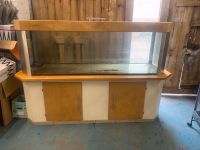 Aquarium 700 Liter 200x60x60  Terrarium unterschrank  Abdeckung Hessen - Naumburg  Vorschau