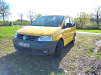 VW Caddy, 2.0 SDI, ex Postauto, defekte Zylinderkopfdichtung Nordrhein-Westfalen - Herford Vorschau