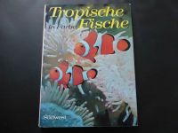 Buch, Tropische Fische Sachsen-Anhalt - Frankleben Vorschau