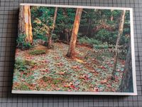 Fotobuch The Unquiet Landscapes of Rosemary Laing Bildband Kunst Hessen - Bad Schwalbach Vorschau