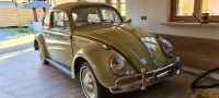 VW Käfer von 1961 Nordrhein-Westfalen - Kreuzau Vorschau