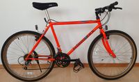 Vintage Diamondback Ascent, 1991, komplett original Mountainbike Hessen - Darmstadt Vorschau