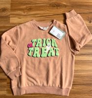 H&M 110/116 Sweatshirt neu mit Etikett Nordrhein-Westfalen - Minden Vorschau