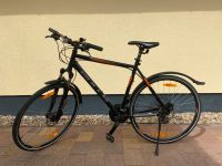 Bulls Crossbike 28 Size 58 Brandenburg - Brandenburg an der Havel Vorschau