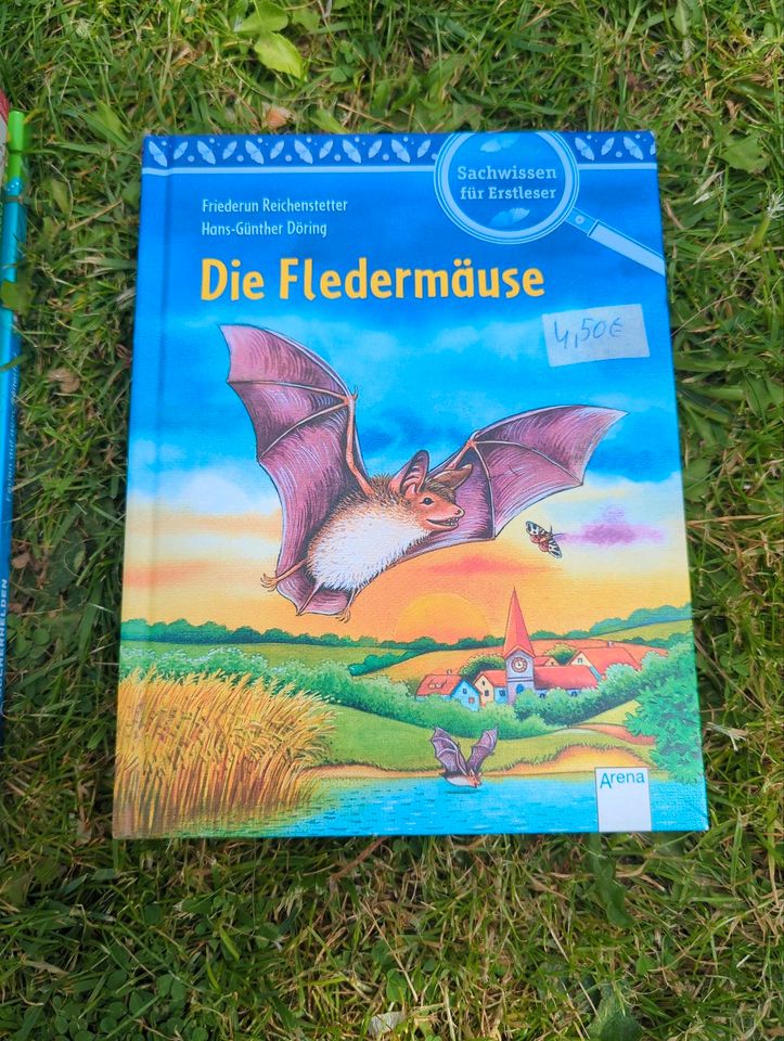 Bücher 1 Klasse 4 stück in Königslutter am Elm