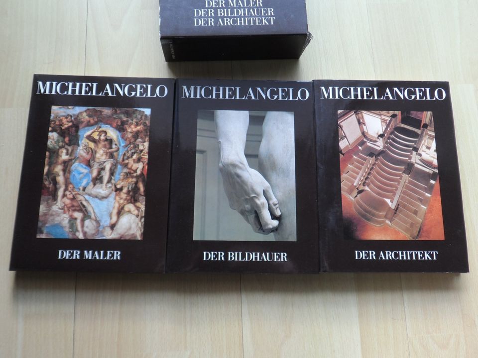 Michelangelo # Der Bildhauer, Der Maler, Der Architekt 3 Bände! in Ludwigshafen