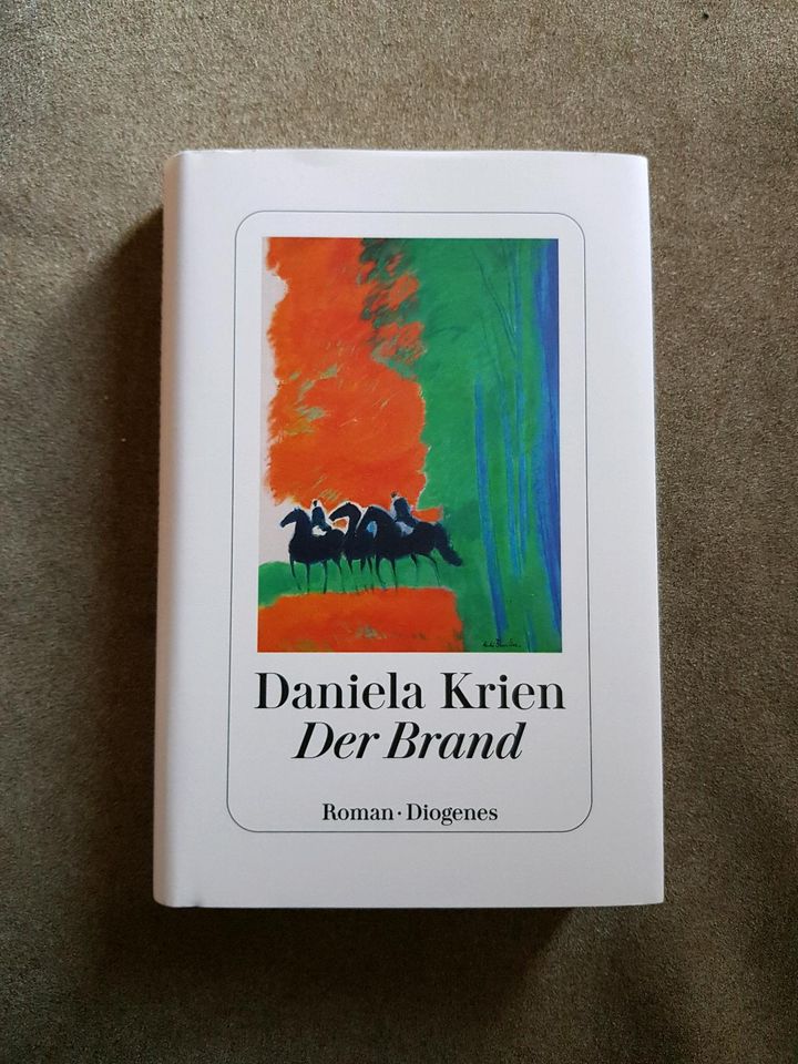 Roman Der Brand von Daniela Krien *Neuwertig* in Wessobrunn