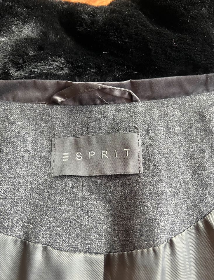 Esprit Winterjacke Damen in Neumarkt i.d.OPf.