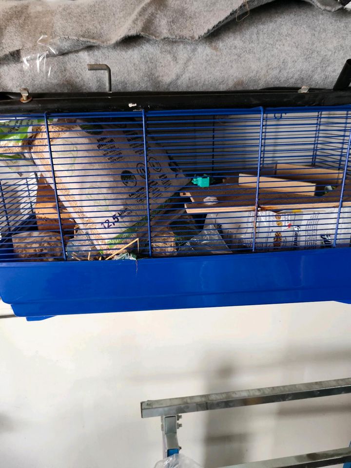 Hamster Käfig in Hörstel