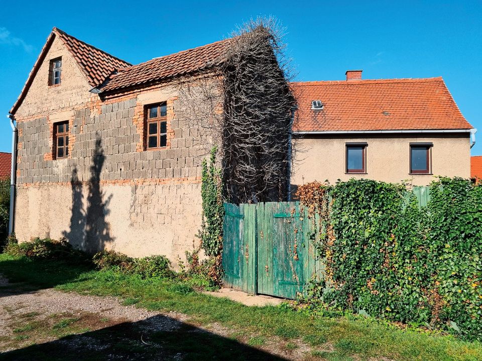 Vermietetes Einfamilienhaus in idyllischer Lage (P23-04-021) in Reinsdorf