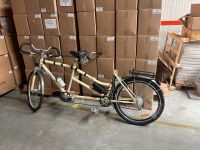 Tandem  Elektro Fahrrad  e Bike  Velor Berlin - Rudow Vorschau