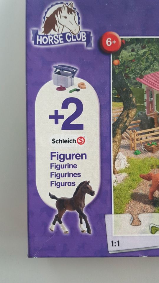 ☆☆☆ Puzzle | 100 Teile | Schmidt / Schleich | Ausritt ☆☆☆ in Sassenburg