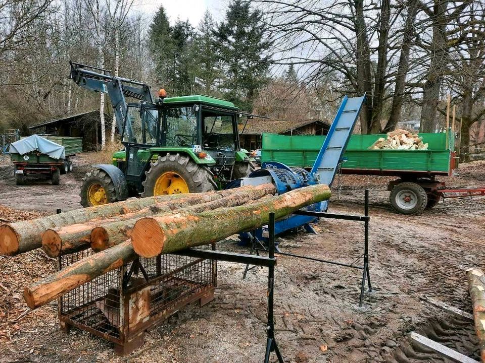 Kaminholz, Feuerholz,  Brennholz in Rosengarten