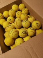 Zum Verkauf steht ein Karton mit 70 gebrauchten Tennisbällen Nordrhein-Westfalen - Gelsenkirchen Vorschau