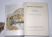 Buch 1950*Brehms Tierleben*Volksausgabe in einem Band*330 Abbild Bayern - Oy-Mittelberg Vorschau