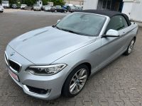 BMW BMW 220d Aut Cabrio Luxury Navi Xen Leder Kamera Nordrhein-Westfalen - Paderborn Vorschau