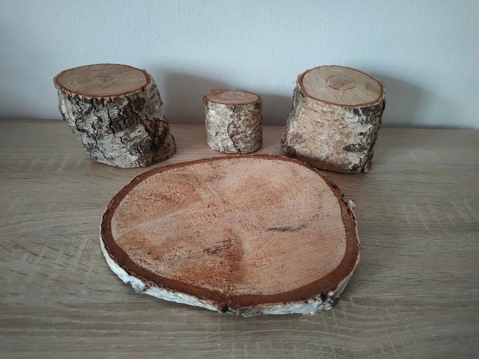 Set: 6 schöne Baumscheiben aus Holz (im Set o. auch einzeln) in Bannewitz