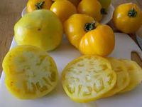 Lillians Yellow Heirloom Tomaten Samen Rarität Gelbe Tomate Nordrhein-Westfalen - Sankt Augustin Vorschau