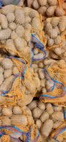 Kartoffeln, Speisekartoffeln aus Eigenanbau 25 kg Sack Thüringen - Rastenberg Vorschau