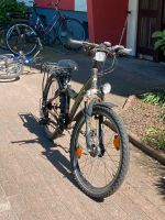 Fahrrad 24 Zoll Kreis Pinneberg - Pinneberg Vorschau