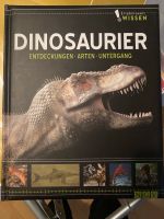 Erlebniswelt Wissen Dinosaurier Niedersachsen - Giesen Vorschau