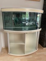 Aquarium 120 cm gewölbt Aquatlantis Unterschrank Birke Glastüren Bayern - Erlangen Vorschau