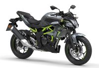 Kawasaki Z125 grau Mod.2023 ABS, Leichtkraftrad A1 Neufahrzeug Nordrhein-Westfalen - Warburg Vorschau