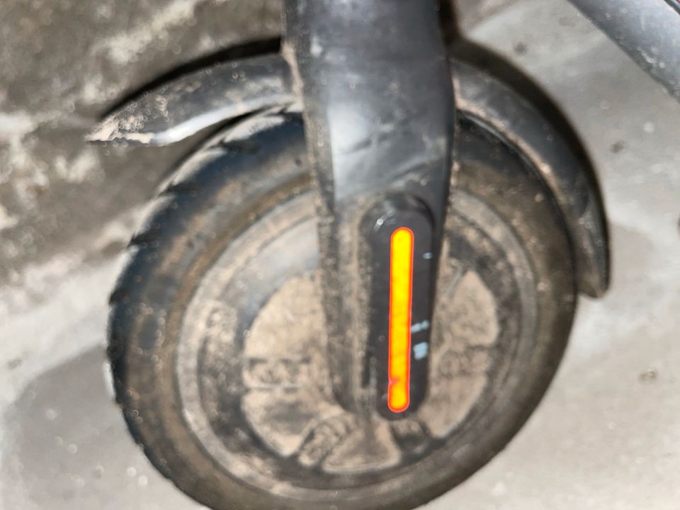 E Roller nicht benutzt Xiaomi Electric Scooter 3 Lite in Rendsburg